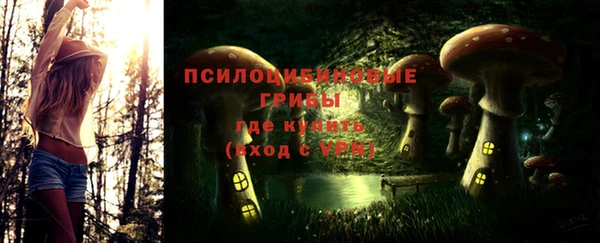 прущая мука Белокуриха