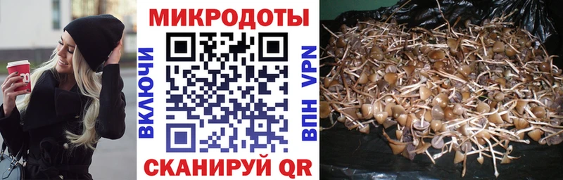 Псилоцибиновые грибы прущие грибы  Кстово 